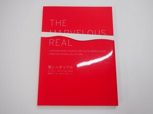 Art hand Auction ★【Pictorial book THE MARVELOUS REAL Amazing Real Spain, Latin American Contemporary Art MUSAC Collection… Museum of Contemporary Art Tokyo】140-02403, Painting, Art Book, Collection, Catalog