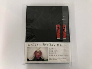 ▼　【限定品　サイン入りポラロイド付　花人生　荒木経惟　何必館・京都現代美術館　2002年】073-02403