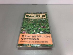 * [. mountain. .. tree pocket plant illustrated reference book Aomori city . that . side plant .. one man .. tree. . illustrated reference book issue...]161-02403