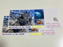 新江ノ島水族館 ご招待券　2枚_画像1