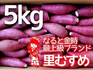 大放出特価品！わけあり　徳島県里浦産　なると金時　B品切　S~2S　5ｋｇ　さつまいも　サツマイモ　薩摩　芋