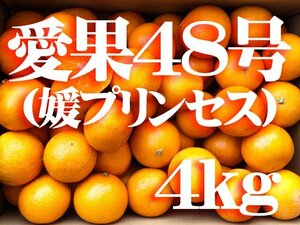 【ご家庭用】【ブランド柑橘】愛媛産　愛果48号　S-L　みかん　4ｋｇ入　1箱　あいか　プリンセス