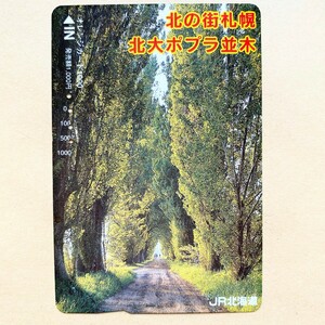 【使用済】 オレンジカード JR北海道 北の街札幌 北大ポプラ並木