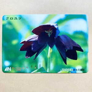 【使用済】 花オレンジカード JR北海道 クロユリ 原生花園