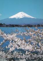 富士山　桜　河口湖　絵はがき　ポストカード　_画像1