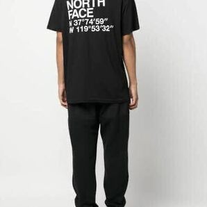 XL 新品 ノースフェイス THE NORTH FACE COORDINATES TEE ロゴ ハーフドーム 座標 半袖 Tシャツ 黒 メンズ 海外企画 日本未入荷 送料無料の画像7