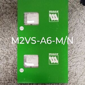 M-SYSTEM M2VS-A6-M/N 2個セット