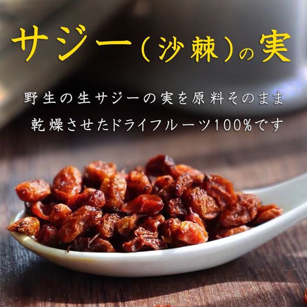 サジー(沙棘)の実(乾燥)ドライフルーツ100g 【新疆野生】原料そのまま 無添加 たんぽぽ本舗