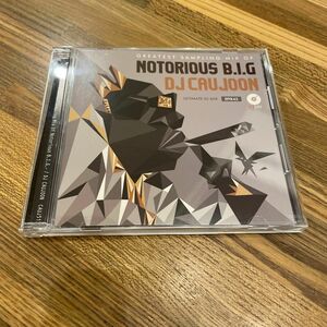 epix43 GREATEST SAMPRING MIX OF NOTORIOUS B.I.G/DJ CAUJOON