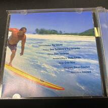 ZG1 CD Surfer From Palolo Troy Fernandez_画像4