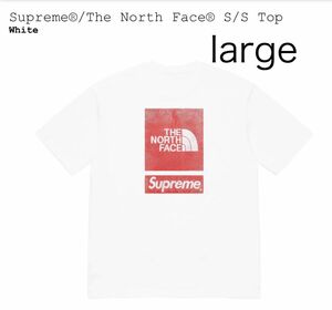 Supreme/The North Face S/S Top 