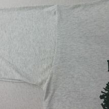 XL/古着 フルーツオブザルーム 長袖 ビンテージ Tシャツ メンズ 90s マラソン フラッグスタッフ 大きいサイズ クルーネック 薄グレー 霜降_画像10