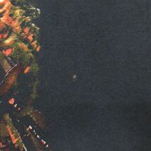 XL/古着 半袖 ロック バンド Tシャツ メンズ ディスターブド アルターブリッジ セイントアソニア 大きいサイズ コットン クルーネック_画像8