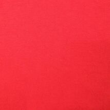 XL/古着 半袖 ビンテージ Tシャツ メンズ 00s トロント ビル コットン クルーネック 赤 レッド 23apr11 中古_画像8