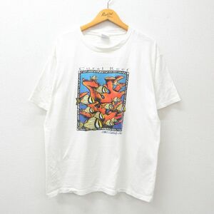 XL/古着 All Sports 半袖 ビンテージ Tシャツ メンズ 90s 魚 コーラルリーフ コットン クルーネック 白 ホワイト 24mar21 中古