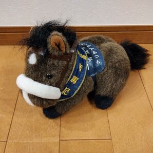 ナリタブライアン 第39回有馬記念