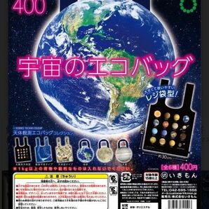 天体観測 エコバックコレクション 2枚セット