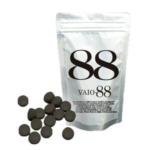 VAIO-88（バイオ88）