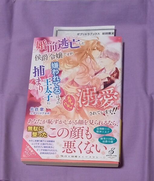 佐倉紫「婚前逃亡した侯爵令嬢ですが、嫌われてるはずの王太子に捕まりました」