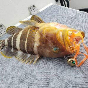 タングステン タイラバ タイラバヘッド 鯛ラバジグ ゴールド 80g 3個 送料無料の画像9