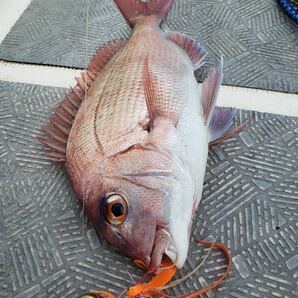 タングステン タイラバ タイラバヘッド 鯛ラバジグ ゴールド 80g 3個 送料無料の画像10