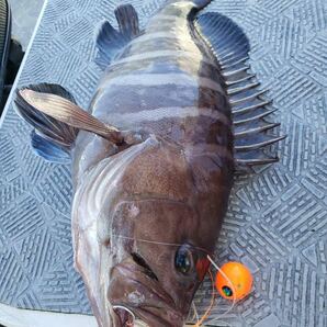 タングステン タイラバ タイラバヘッド 鯛ラバジグ ゴールド 80g 3個 送料無料の画像7