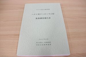 ▲01)【同梱不可】ハタイ省ドゥオンラム村/集落調査報告書/ベトナム社会主義共和国/2007年3月/奈良文化財研究所/考古学/歴史/世界史/A