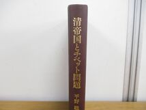 ●01)【同梱不可】清帝国とチベット問題/多民族統合の成立と瓦解/平野聡/名古屋大学出版会/2004年発行/A_画像2