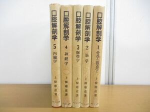 ▲01)【同梱不可】図説 口腔解剖学 全5巻揃セット/神経学/脈管学/筋学/内臓学/骨学(頭蓋学)/上條雍彦/アナトーム社/A