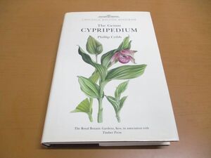 ●01)【同梱不可】アツモリソウ属/The Genus Cypripedium/Botanical Magazine Monograph/Phillip Cribb/Timber/洋書/A