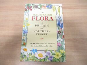 ▲01)【同梱不可】The Illustrated Flora of Britain and Northern Europe/Marjorie Blameyn/1989年/洋書/イギリスと北欧の図解植物相/A