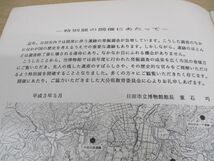 ●01)【同梱不可】第1回 考古部門特別展 日田盆地の遺跡/平成2年度の発掘調査から/日田市立博物館/A_画像3