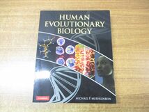 ▲01)【同梱不可】Human Evolutionary Biology/Michael P Muehlenbein/Cambridge/人類進化生物学/洋書/A_画像1