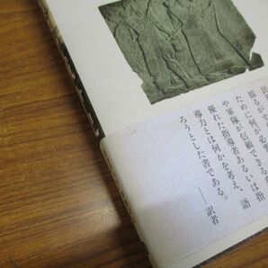 ●01)【同梱不可】古代ユダヤ戦争史/聖地における戦争の地政学的研究/モルデハイ・ギホン/ハイム・ヘルツォーグ/池田裕/悠書館/2014年/Aの画像5