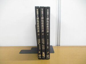 ▲01)【同梱不可】【図書落ち】電子顕微鏡による細胞組織図譜 3冊セット/山田英智/医学書院/泌尿器/男性性器/女性/内分泌器/皮膚/A