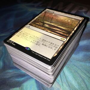 【★豪華おまけ付き！】MTG 湿地の干潟他レアカードまとめ売り