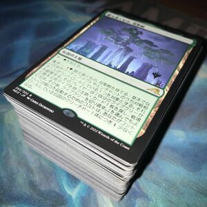 MTG 母聖樹他レアカードまとめ売り おまけ付き