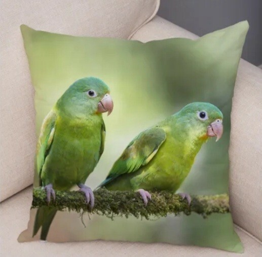 クッションカバー 　マメルリハ 　緑色のインコ　４５ｃｍ　鳥の雑貨　HANAKO