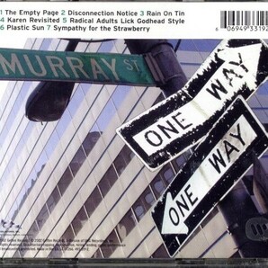 即決・送料無料(2点で)◆ソニック・ユース Sonic Youth◆Murray Street◆ジムオルーク◆(b1564)の画像2