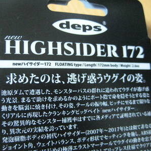 （59） デプス new ハイサイダー 172 / ビッグベイトの画像6
