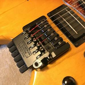 Steinberger Klein GK-7T Model-3 Hollow / Brazilian Rosewood Neckの画像5