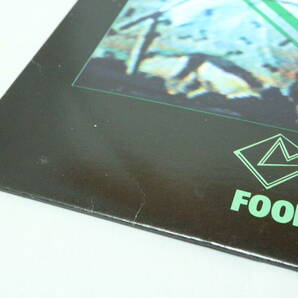 送料無料 開封美品 LPレコード COLOR / FOOLS GET LUCKY COLOR 盤の状態良好 追跡番号付き発送の画像10