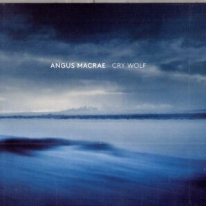 Angus Macrae /１７年/ポスト・クラシカル、フリー、アヴァンヤルドの画像1