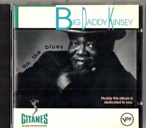 Big Daddy Kinsey /９３年/スワンプ、ルーツ、ブルース