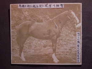 有栖川宮威仁親王殿下御下賜馬 『ロバーツ　栗毛　流星四白』当時物 古写真 /皇族 海軍軍人 元帥海軍大将の賜りし名馬 / 競馬 軍馬 名馬