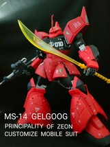 MG1/100 ジョニーライデン専用ゲルググ　改修塗装済完成品_画像1