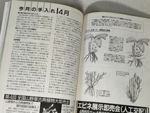 自然と野生ラン　1996年4月号／春咲きエビネ・花まつり／春蘭総天然色図鑑[秘蔵の無銘編]／食虫植物の神秘／小豆島／ホトトギス類　ほか　_画像10