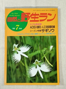 自然と野生ラン　1992年7月号／えびね AOS入賞花・人工交配最前線／サギソウ／ウチョウラン／アワチドリ／斑入り植物／メコノプシス ほか　