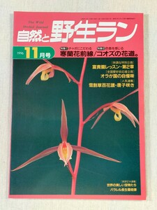  nature .. raw Ran 1996 year 11 month number | tea bo. to fuss over cold orchid flower front line |ko oz. flower road.| riches and honours orchid lesson | snow break up . 100 flower .* Tang ... another 