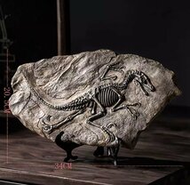 種類多数 3D 恐竜 化石 彫刻 インテリア 装飾 レトロ 骨 おしゃれ アンティーク 置物_画像7